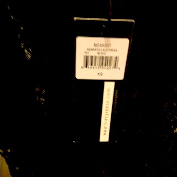 Plenty By Tracy Reese Romantic Lace Dress - Picture 3 of 3